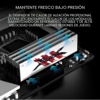 Kit Memoria RAM Puskill DDR4 32GB (2x16GB) 3200MHz | Tecsi