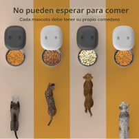 Comedero Automático Mascotas 3L | Tecsi de Colombia