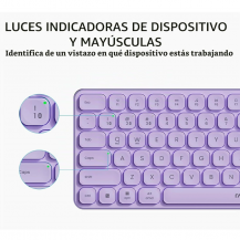 Combo Teclado y Mouse Inalámbrico Rapoo Púrpura | Tecsi