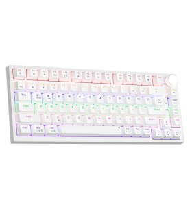 Teclado Mecánico Al 75 %...