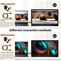 Monitor Portátil 17.3 Pulgadas 1600x900 Altavoces Negro