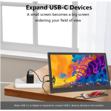 Monitor Portátil 17.3 Pulgadas 1600x900 Altavoces Negro