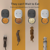 Alimentador Automatico Mascotas Yupsol