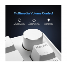 teclado Para Juegos Con Cable Tecknet, Retroiluminación Rgb Blanco Inglés Us