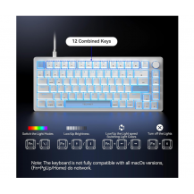 teclado Para Juegos Con Cable Tecknet, Retroiluminación Rgb Blanco Inglés Us